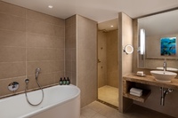 2 Bedroom Suite (SeaView Balcony, Theme Park Access)