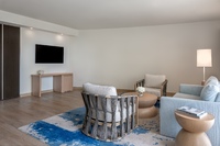 1 Bedroom Suite (Plaza View, Theme Park Access)