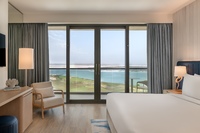 1 Bedroom Suite (SeaView Balcony, Theme Park Access)