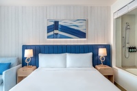 King Deluxe Room (Plaza View, Theme Park Access)