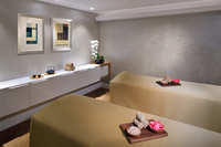 Spa and wellness