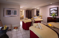 Spa and wellness