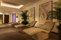 Spa and wellness