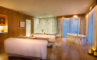 Spa and wellness
