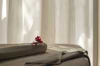 Spa and wellness