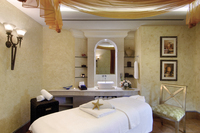 Spa and wellness
