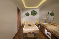 Spa and wellness