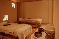 Spa and wellness