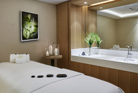 Spa and wellness