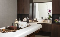 Spa and wellness