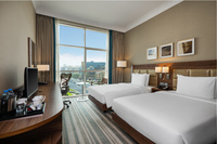 Stylish room, Wi-Fi, HDTV, ergonomic desk.