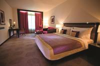 Spacious room, city view, modern amenities.