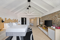 Mountain-view room with balcony.