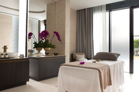 Spa and wellness