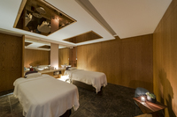 Spa and wellness