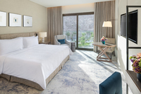 Deluxe Room (MountainView)