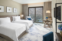 Deluxe Room (MountainView)