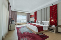 Superior Room with Terrace.