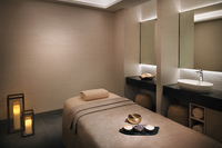 Spa and wellness