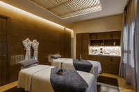 Spa and wellness