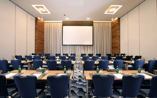 Conference Facilities