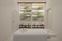 Spa and wellness