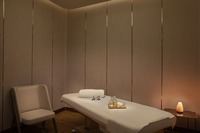 Spa and wellness