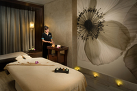 Spa and wellness